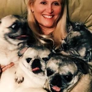 Meet your Posher, Dixie